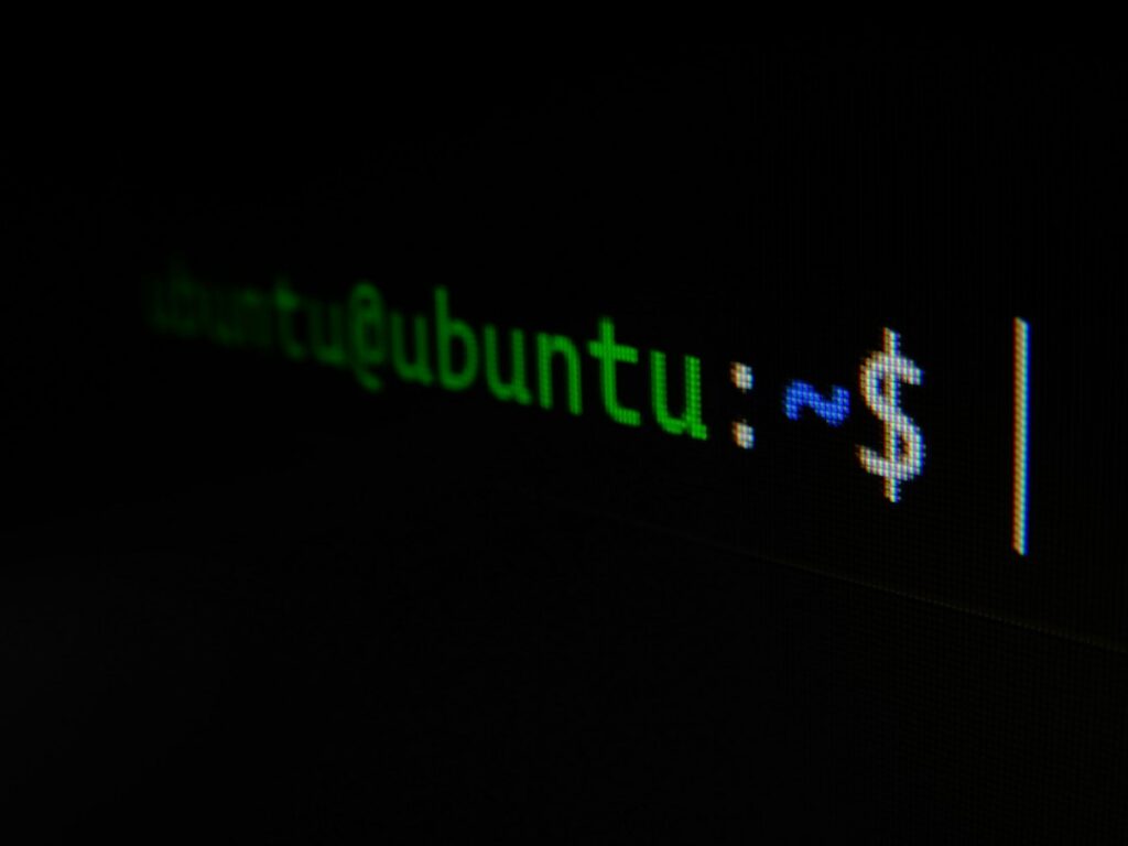 Bash terminal window with command line text, as used for a wget Wayback Machine download