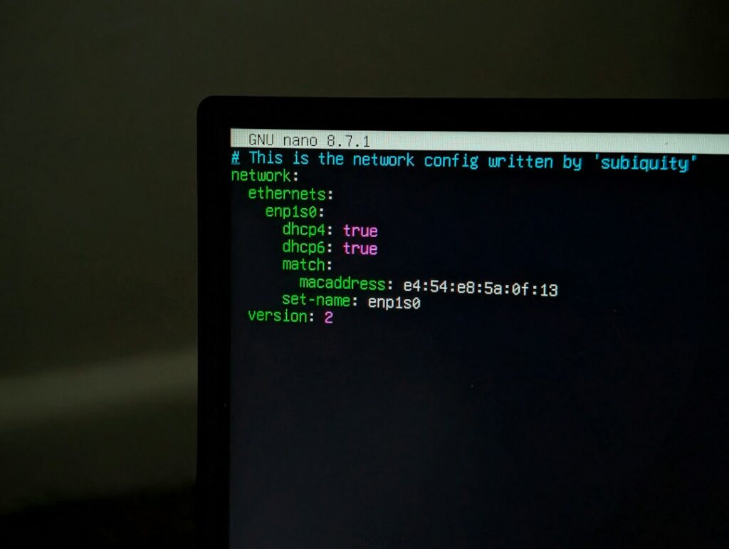 Terminal window on a computer screen, the kind of command line where waybackurls lists archived URLs